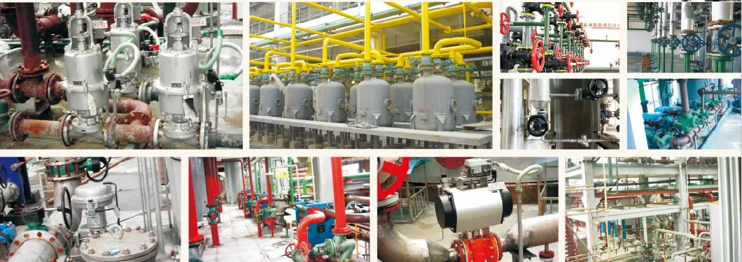 ANSI Standard Metal Tube Valve API Check Valve