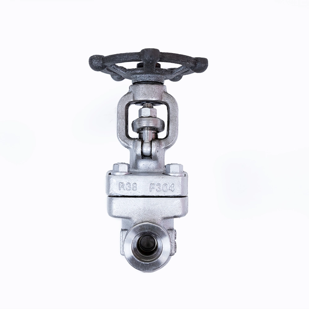 Socket Weld Stainless Steel Globe Valve Class800